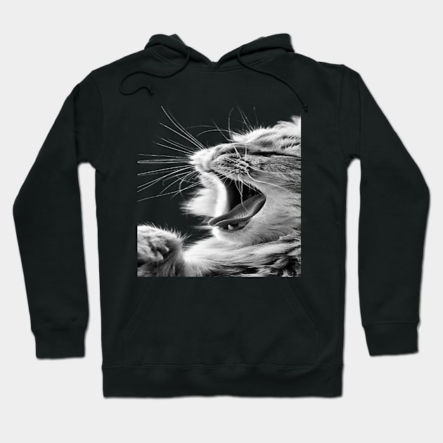 lovely cat Hoodie by The Best 1